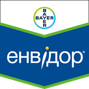 Енвідор
