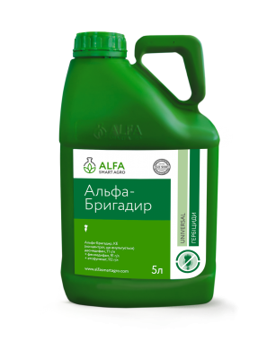 Альфа Бригадир