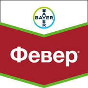 Февер