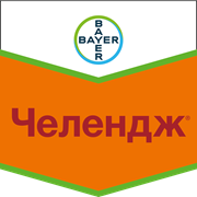 Челендж
