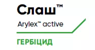 Слаш