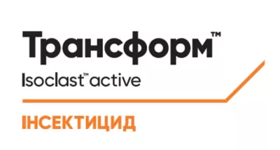 Трансформ
