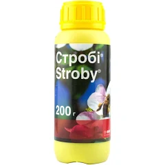 Стробі