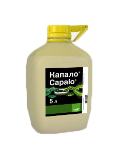Капало
