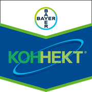 Коннект