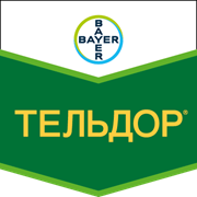 Тельдор