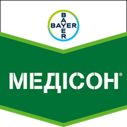 Медісон