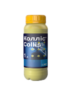 Колліс