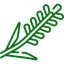 Вика